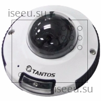 Видеокамера Tantos TSi-DVm212F (3.6)