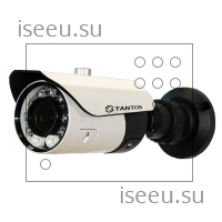 Видеокамера Tantos TSi-P212V (3.3-12)