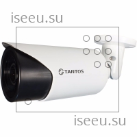 Видеокамера Tantos TSi-Ple23VP-F (2.8-12) StarLight