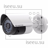 Видеокамера Tantos TSi-Pls22FP (4)
